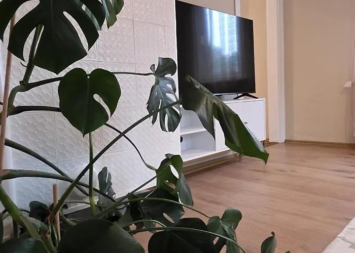 Appartement Mary Eisenach